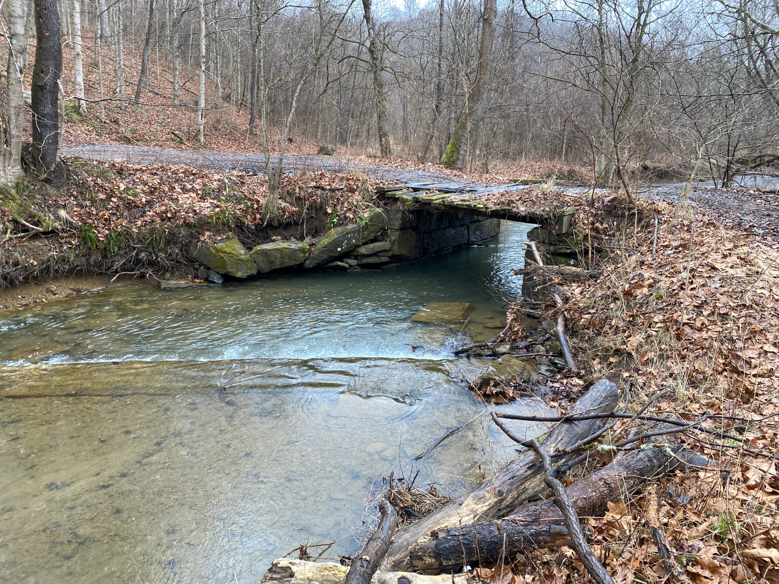 WVU conservation team recognized for efforts in rare fish conservation, Davis College of Agriculture, Natural Resources and Design